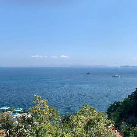 Sunrise 招待所 3*